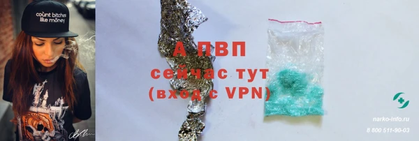 спиды Нея