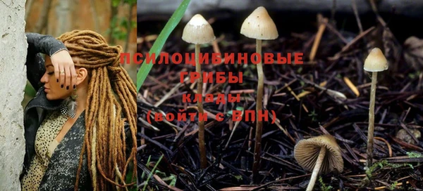 герыч Нефтегорск
