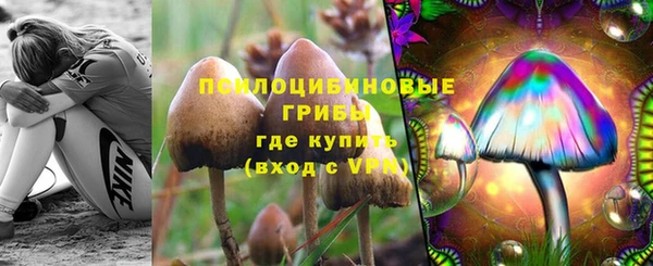 спиды Нея