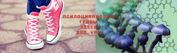 не бодяженный Надым