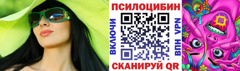 Купить где  Кизилюрт  Псилоцибиновые грибы Cubensis 